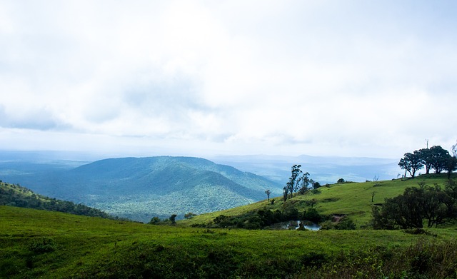 的重要调整 的重要调整