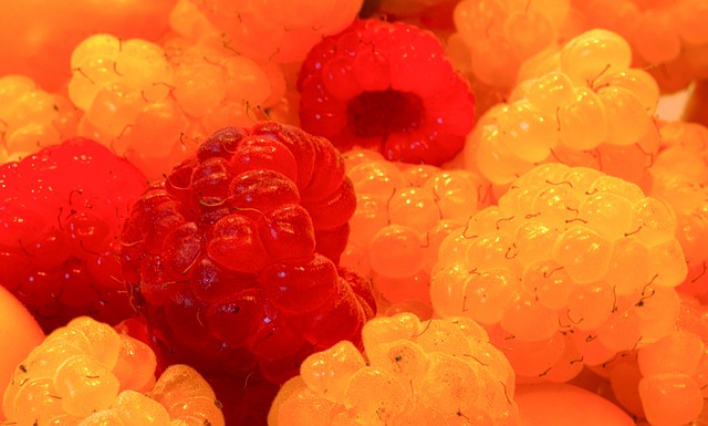 他们在赛场 他们在赛场