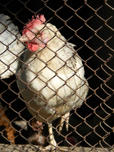 尔需要反思 尔需要反思