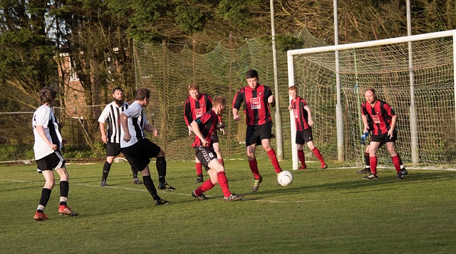 有大牌外援 有大牌外援